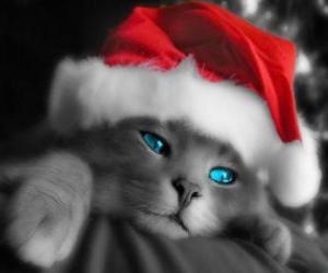 пазл Кошка на рождественские праздники в шляп&amp;#107